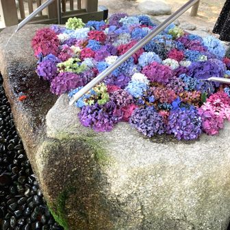 竈門神社に戻って無事に戻って来れた事にお礼の参拝して帰ります。