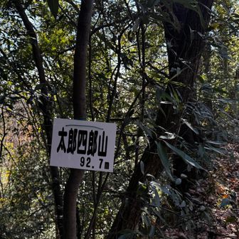 有刺鉄線のすぐ脇に。
服引っ掛けないように！