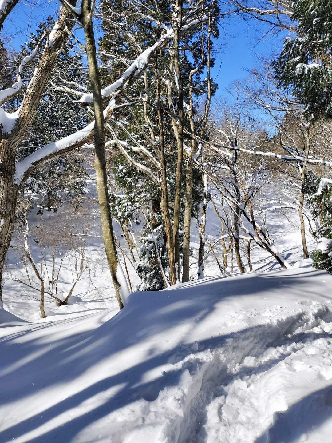 俵坂峠-峰床山 往復コースの写真