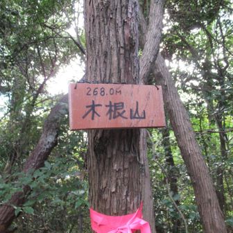 木根山　268m
きねやま