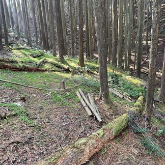 戻りは迂回ルートで。みなさま、悪路に誘う青テープにご注意⚠️