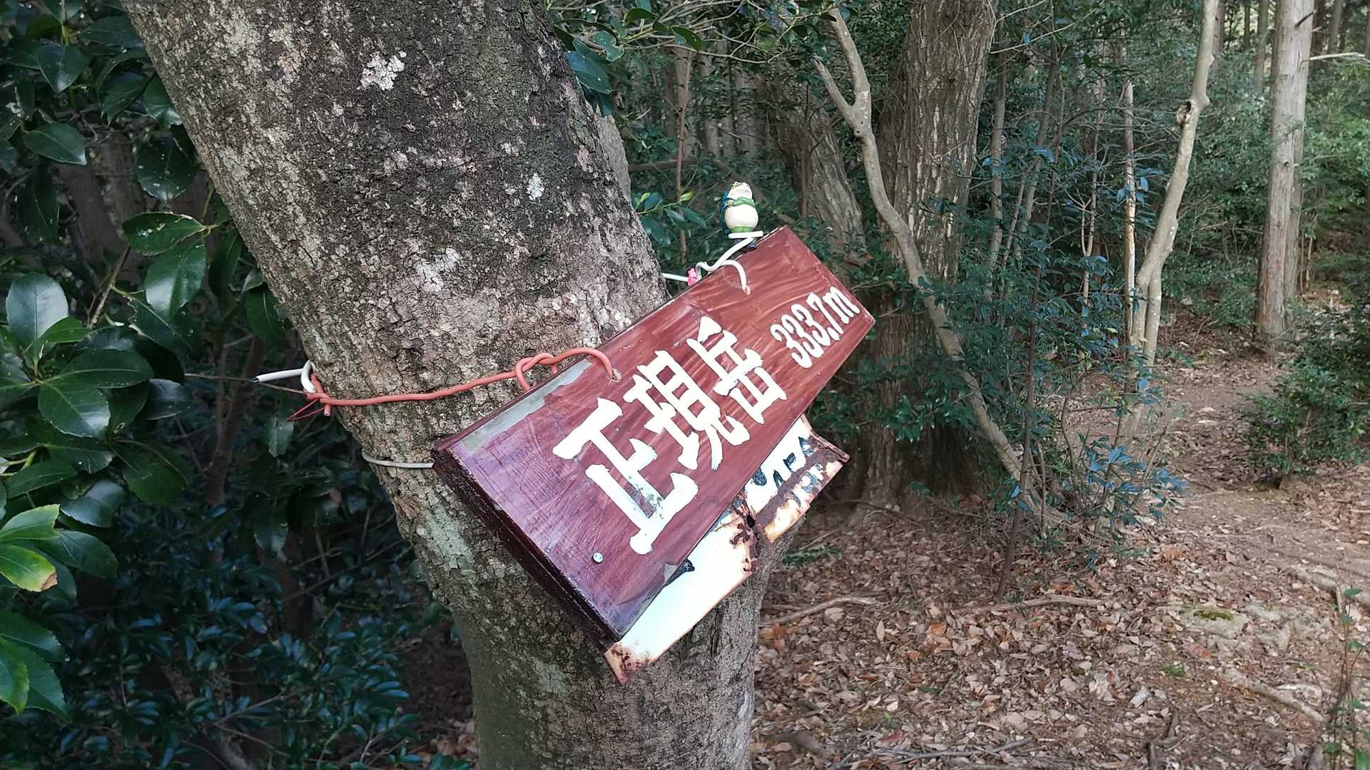 正現岳-金立山 往復コースの写真