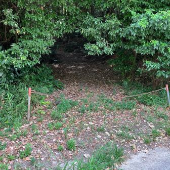 道路渡って、鎖⛓️がしてある、ここから入ります。少し進んで、右➡️側に、登り口がらあります。