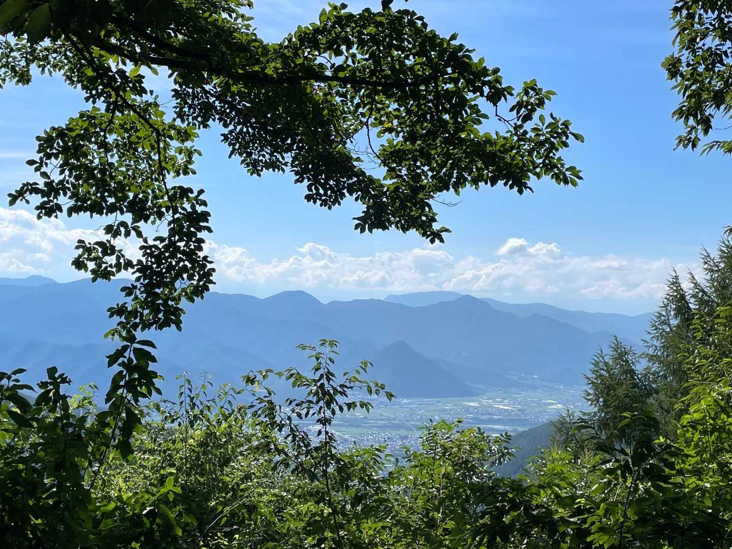 裏参道展望台