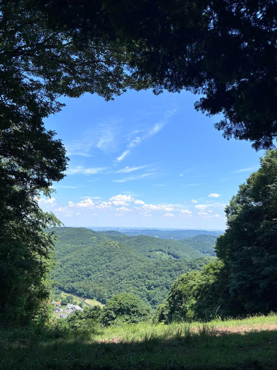 仙元山 往復コースの写真