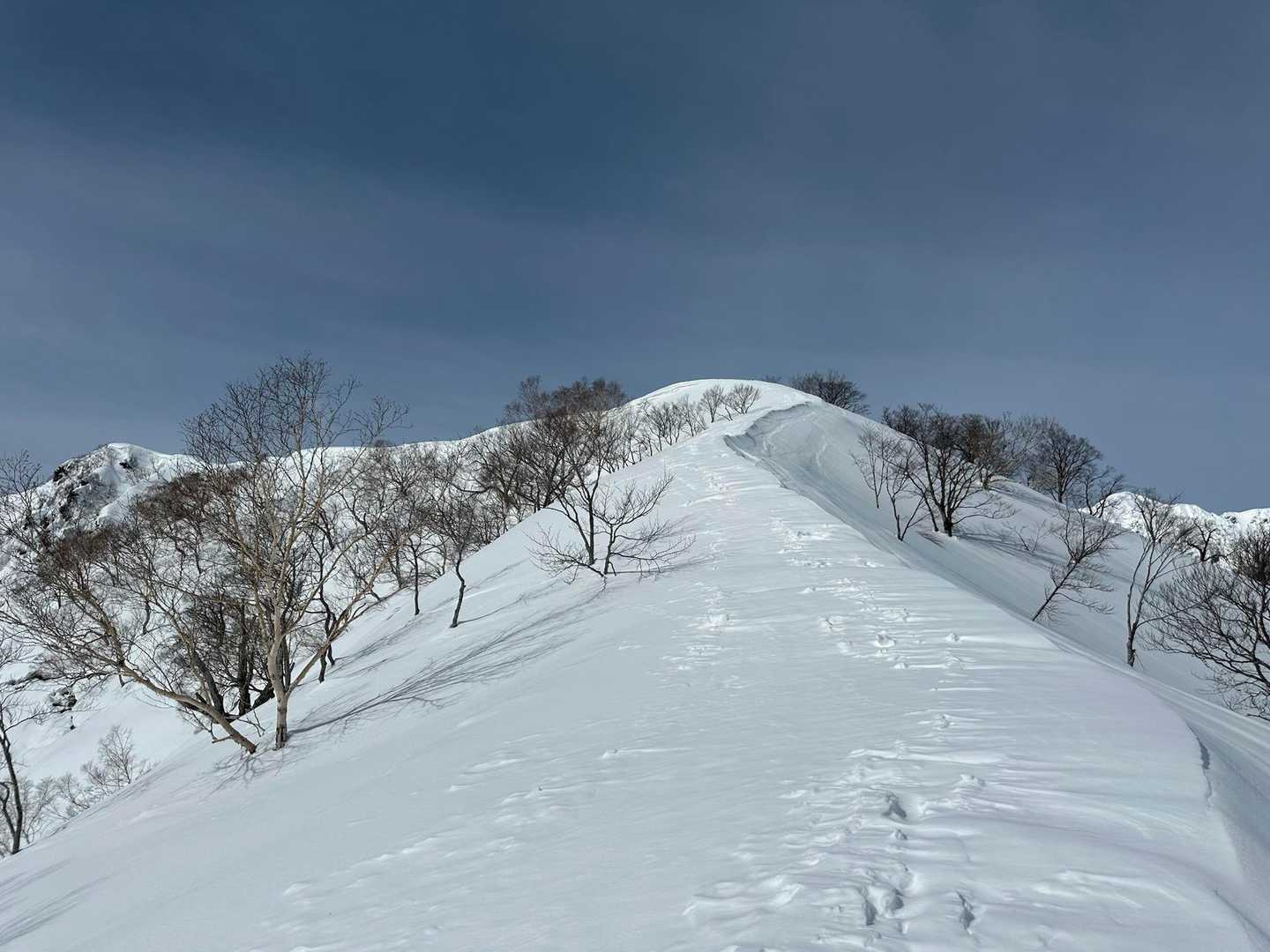 二ノ背髪-小遠見山-五竜登山口-中遠見山-大遠見山-地蔵の 縦走コースの写真