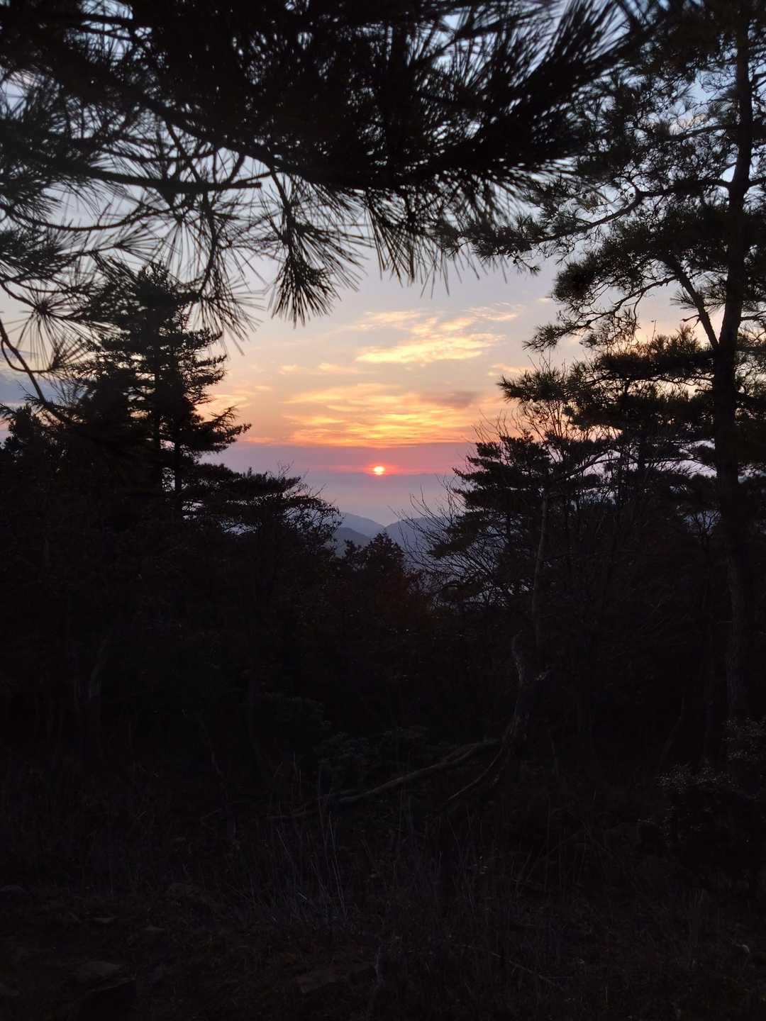 日の出🌄