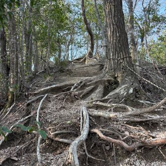 登って登りまくる💦
そして下って下りまくる💦