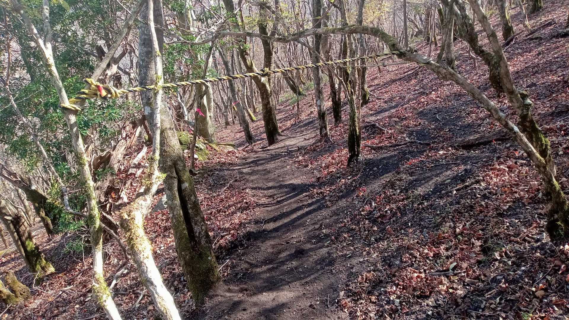 この辺りは登山道がわかりにくかった