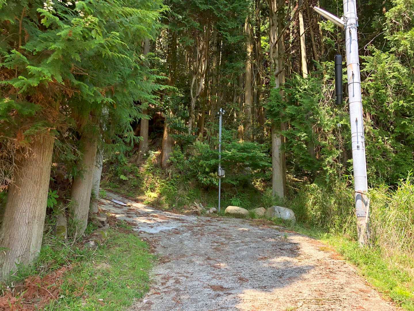 さて、次は滝王山に向かいますよ🚶‍♀️