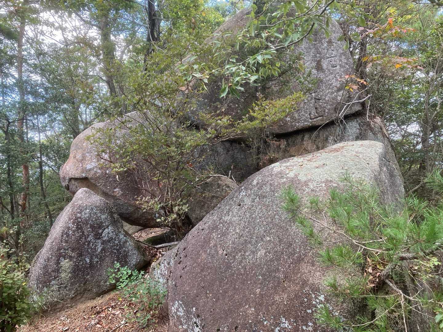 ここにも巨岩🪨