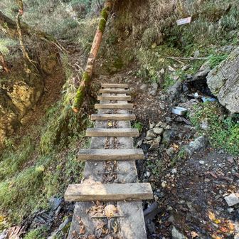 しっかりした橋。渡らずに右に進んで七ツ石山へ。