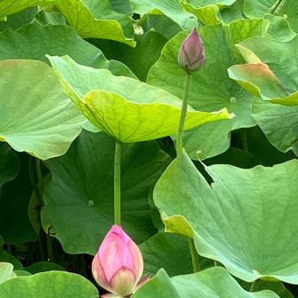 まだこれから😊