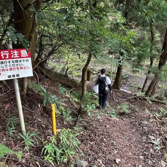 この先に渡渉パートがあるみたい