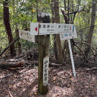 案内は多いので安心