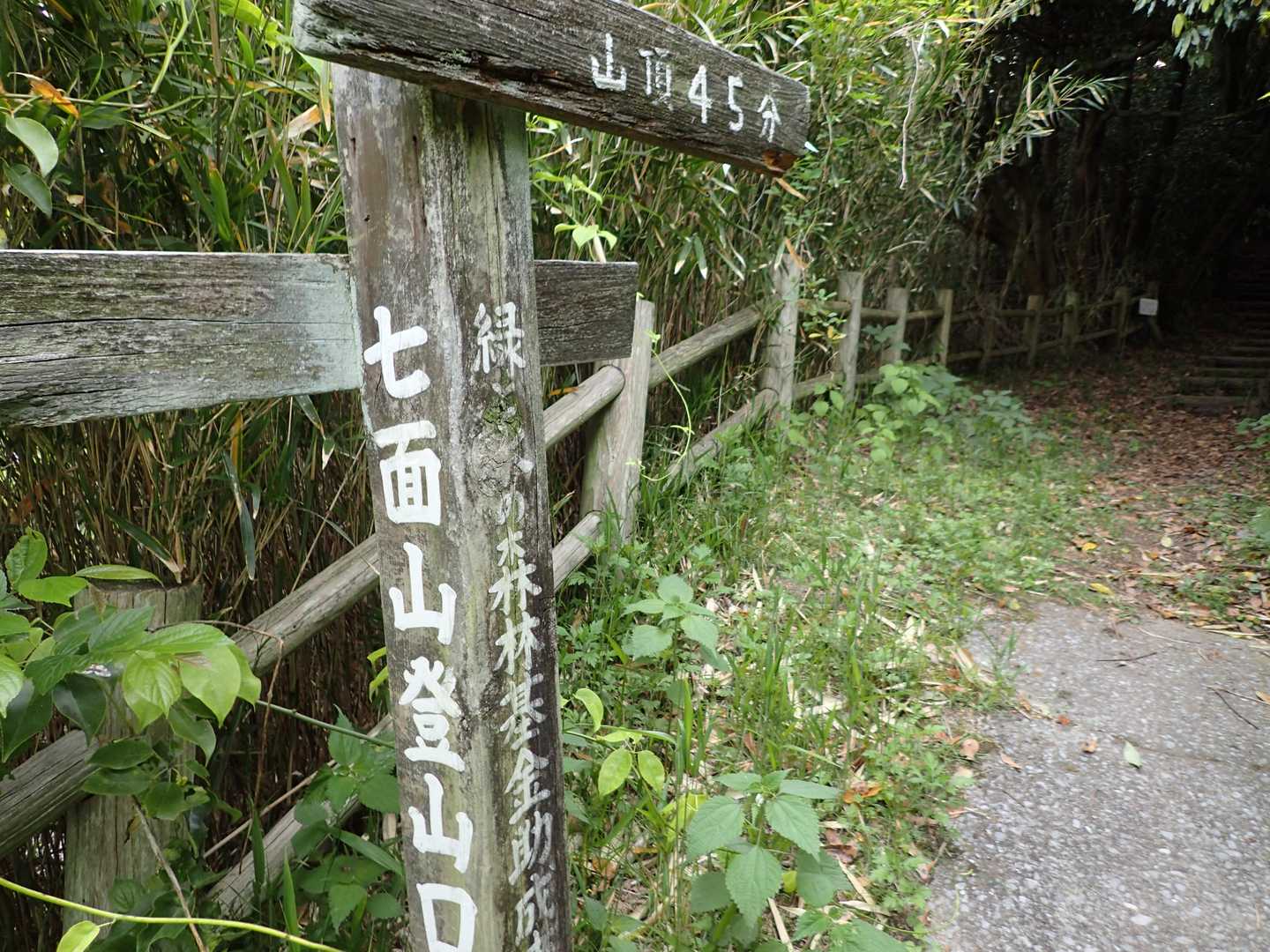 山頂45分か？