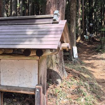 梨ノ木平登山口。