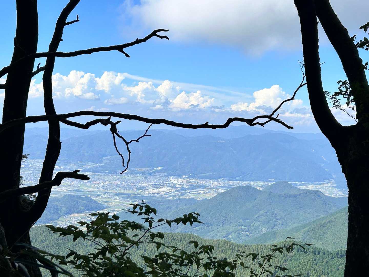 上林峠-陣ヶ森-前々司山-うなめご 往復コースの写真