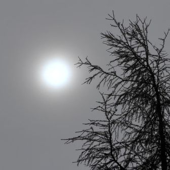 急斜面を降りている最中、急に背中が熱く感じ振り返ると太陽が頭上にあった。
背中はザックがあり熱く感じるはずも無く、太陽も雨降る中で見えるはずもない不思議。何かに守られているのか、ずっと雨の中を雨具無しで濡れずに歩いている。