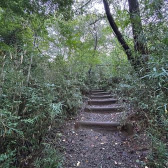 登りではあまり人に出会わず静かに登ります