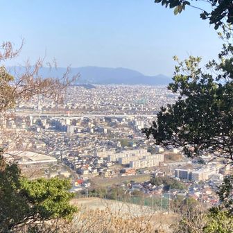 今のところ、こんな感じの景色です