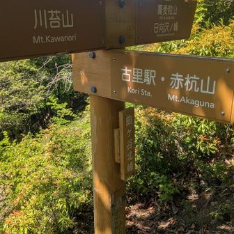 曲ヶ谷北峰