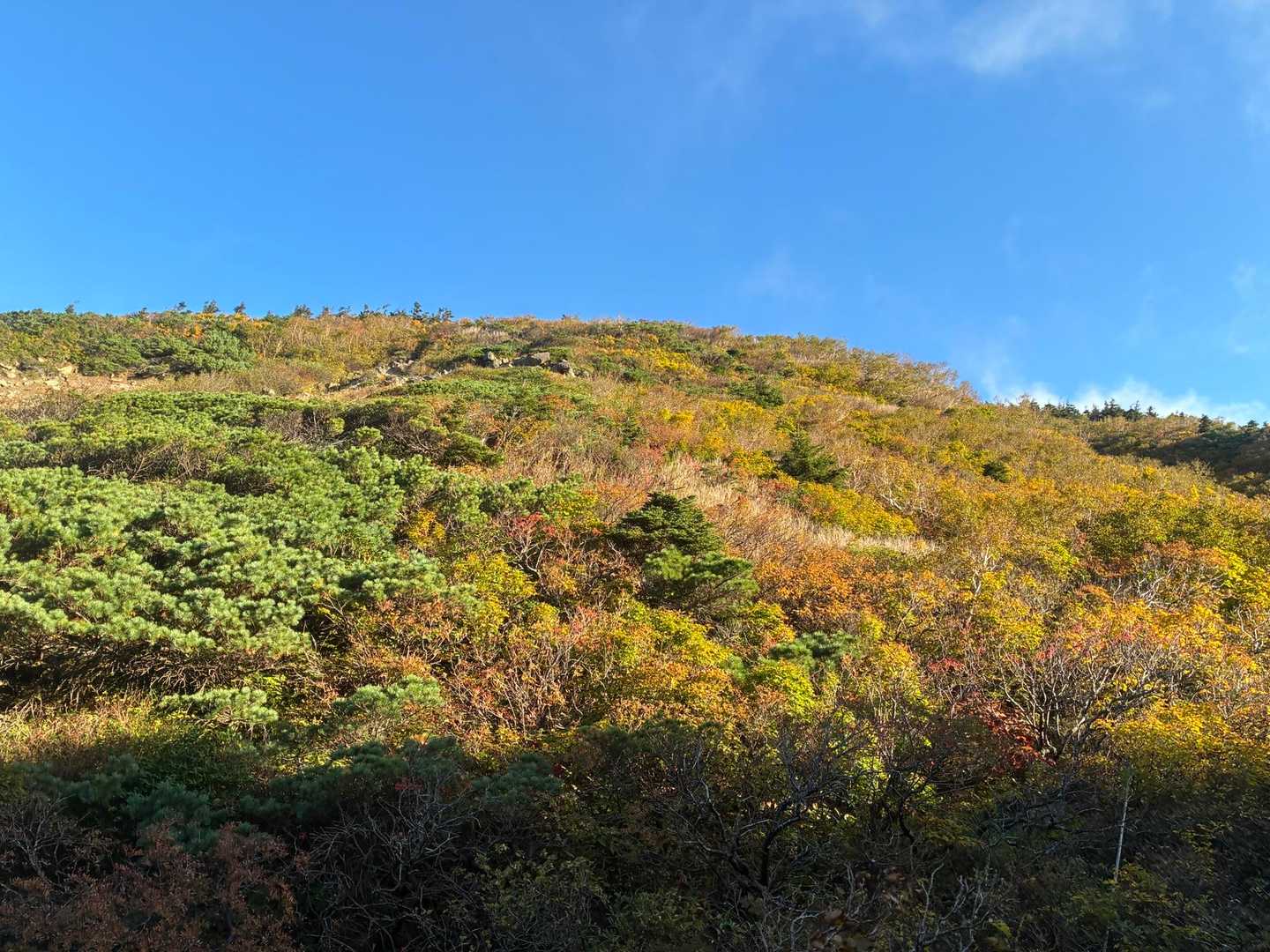 八甲田大岳登山口（酸ヶ湯）-八甲田山 往復コースの写真