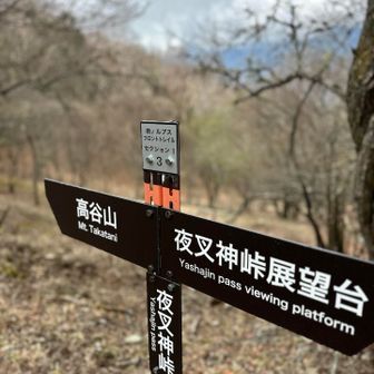 夜叉神峠からの眺めを満喫してからさくっと高谷山へ