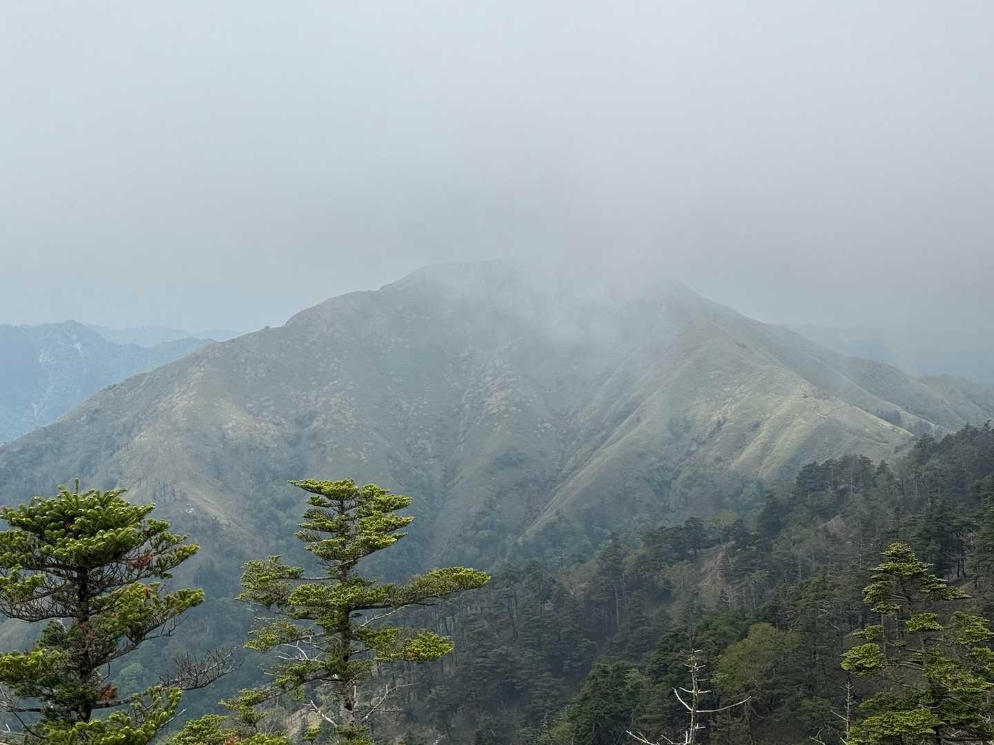 次郎笈が…ついにお出まし😌