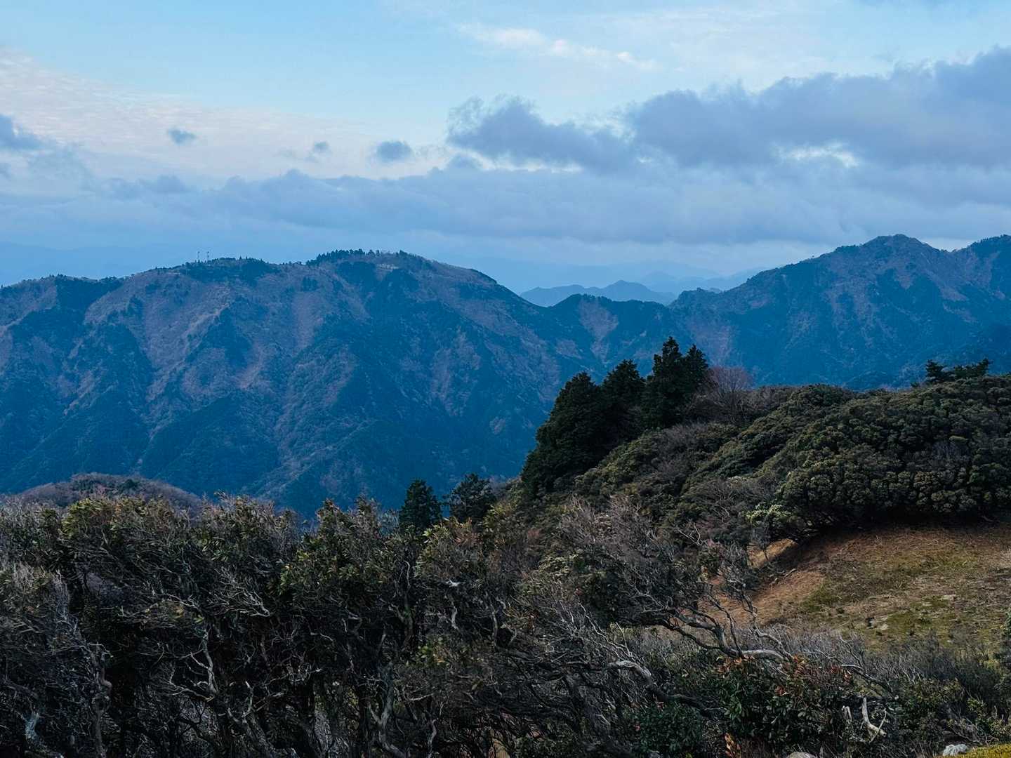 今週は嫁さんを野登山に誘いましたが寒いのでヤメになりました。