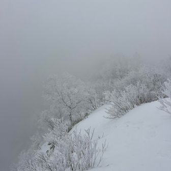 滑ったらアウトです