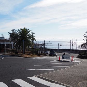 めっっっちゃ久しぶりにきた。