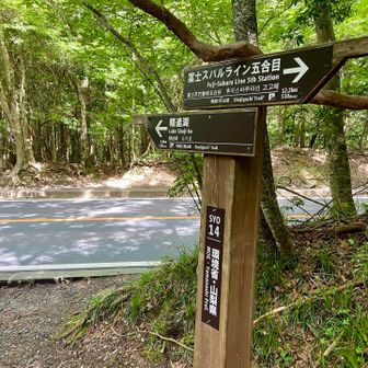 登山口駐車場へ戻る。2台だった車が10台くらい、そして空き待ちの車も😵。何気に人気ですなー