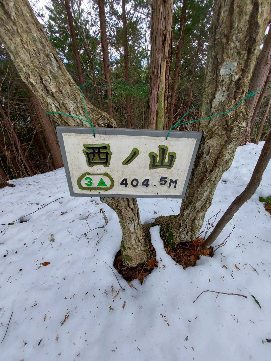 西ノ山（岐阜県）の写真