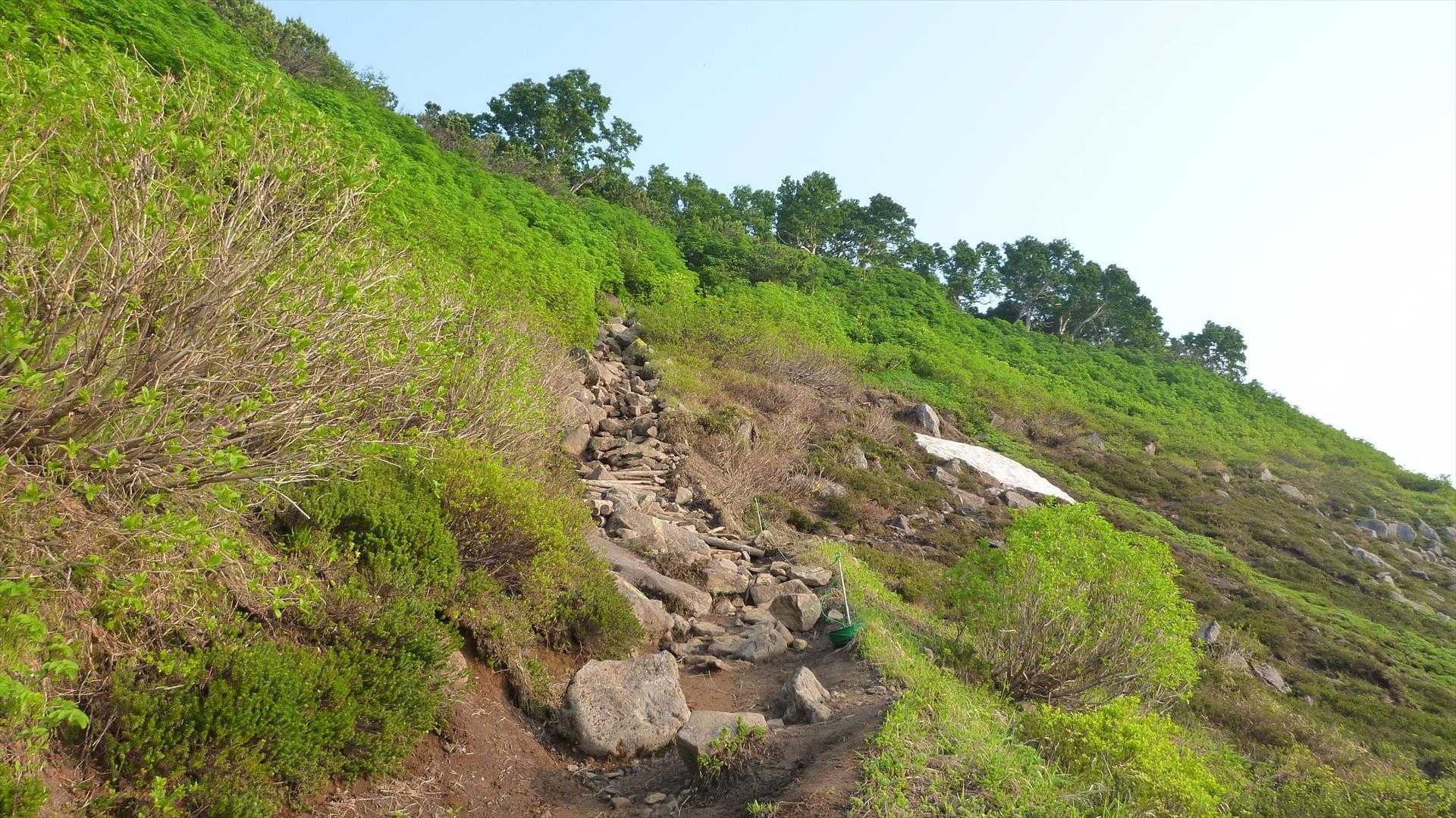 赤岳・白雲岳往復 | 夏の「ゼブラ雪渓」と高山植物の楽園を目指しての写真