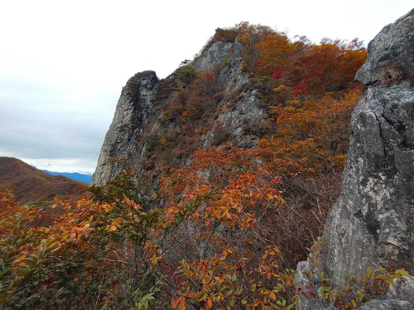 好きな岩と紅葉🍁のコラボ