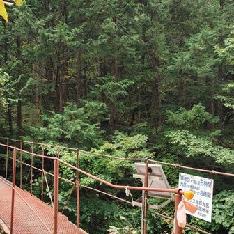 やっと易老渡まで下山完了👍
まだ林道1時間強かかるけど💦