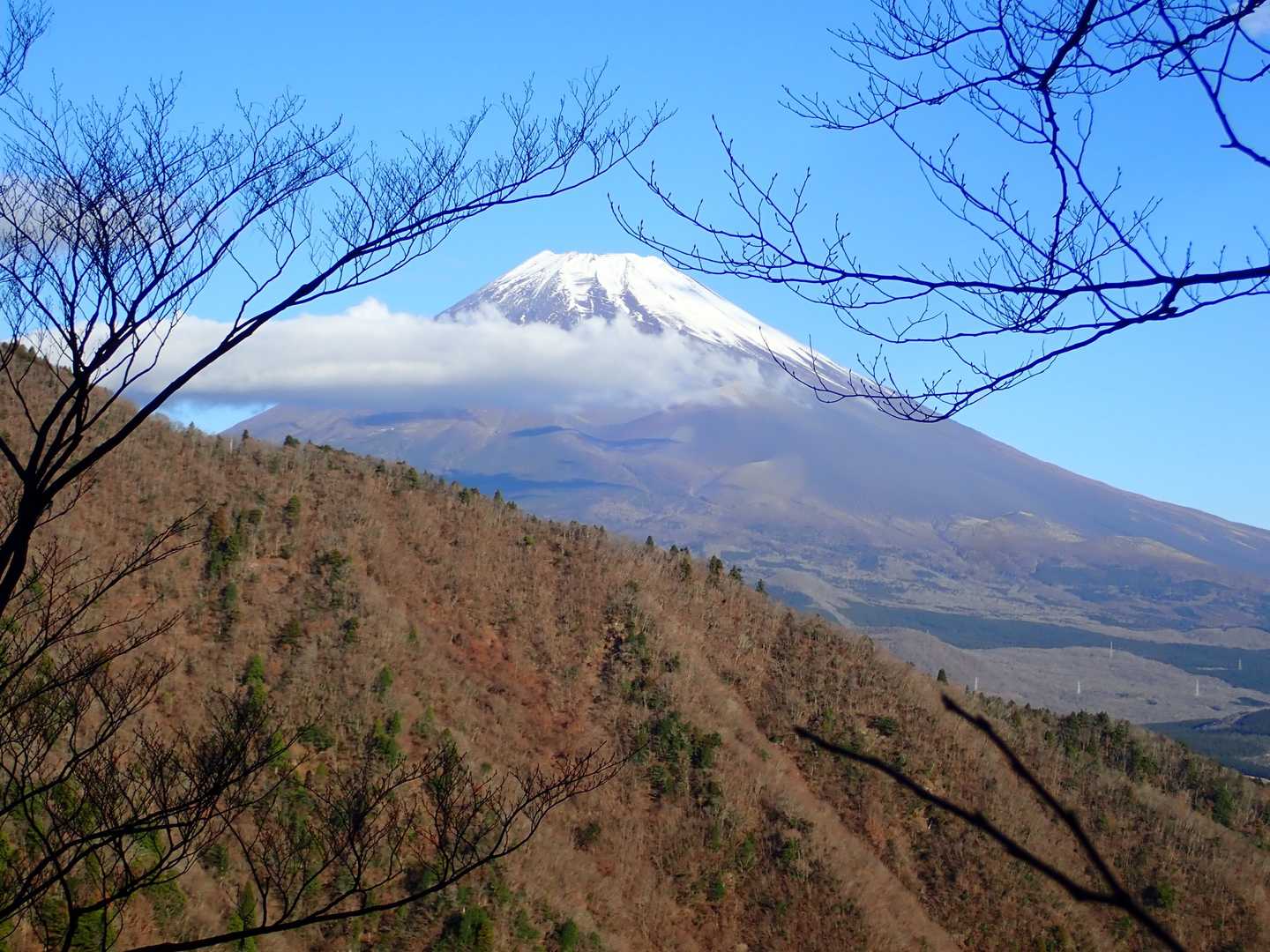 須山愛鷹登山口-前岳-位牌岳 往復コースの写真