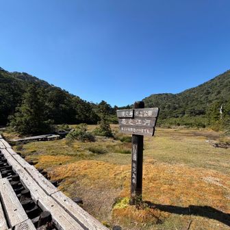 花之江河。はなのえごうと読む。