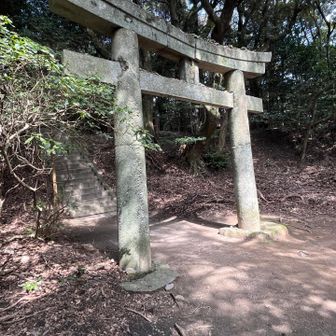 毘沙門堂の鳥居⛩️…仏教の守護神である四天王（持国天、増長天、広目天、多聞天）を祀る寺院で、その名も四天王に由来し、それぞれ、東、南、西、北の方角を守る神々と言われています。