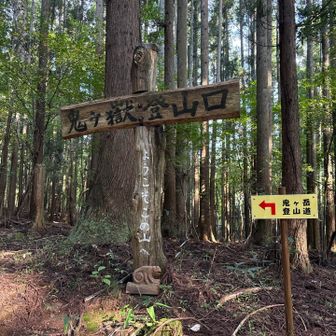 👹さん！
お邪魔します💨