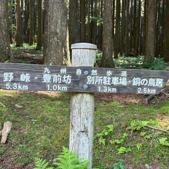 豊前坊～別所駐車場
この標識では2.3㎞