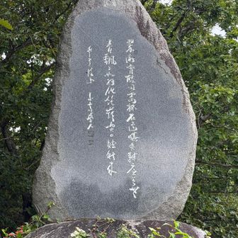 この石碑に書かれている詩は、東城町粟田出身の田森長次郎という漢学教師が、昭和二十年に道後山に登った際に作った漢詩です
田森長次郎が亡くなった後、後世に残すために石碑が建てられたそうです。
碑文の意味が知りたかったのですが、分かりませんでした。

✨チャッピーの回答✨
調べてみたところ、田森長次郎（号・素斎）は漢学者で、1895年生まれ、1954年没。広島一中、津山中学、広島高等師範、第七高等学校、広島師範、広島大学などで教鞭を執り、漢詩・漢文を多く残した人物です。