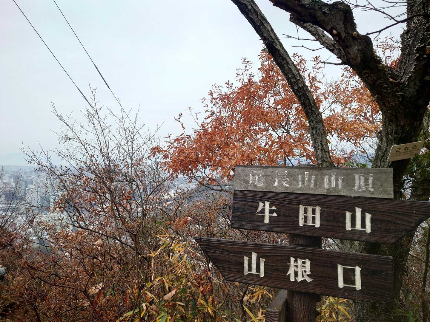 尾長山△Get