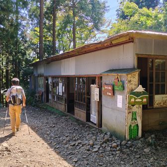 観音茶屋でコーヒーを頂きました
駒止茶屋と見晴茶屋は休業中でした