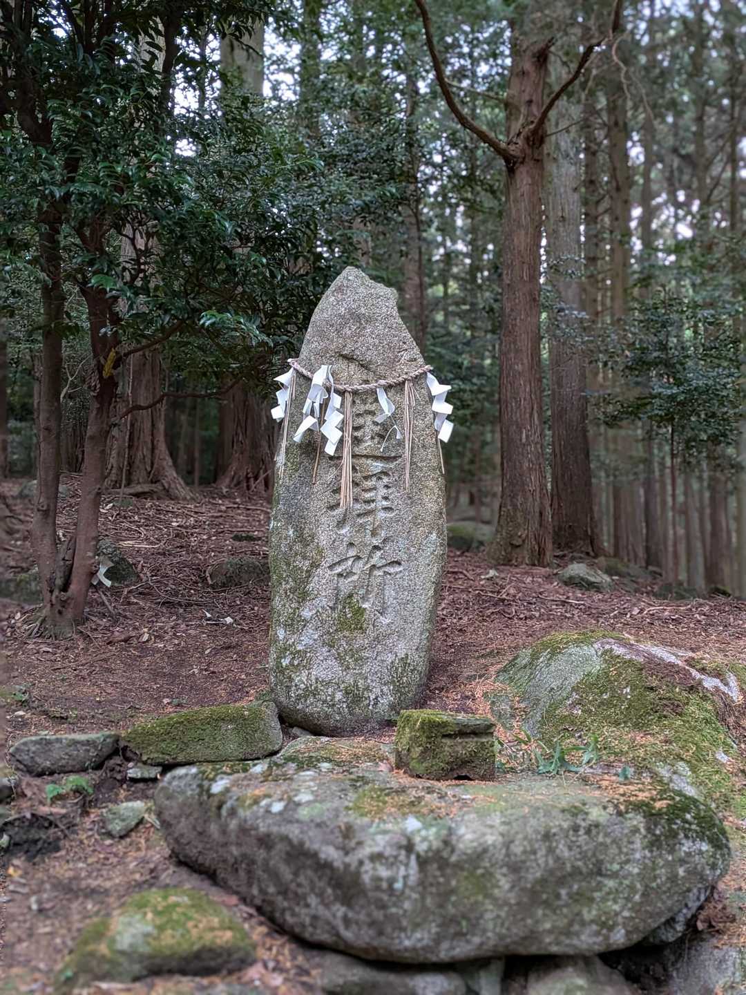 無事げさーん♪
ありがとうござました🙏