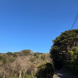 左側の山ではなく、この先右に登山口あり