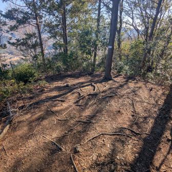 黒磯バッケ山頂