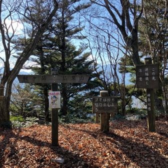 ピークにはベンチありませんでした。
ご飯はもう少し先にします