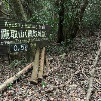 鷹取山寄って行きます